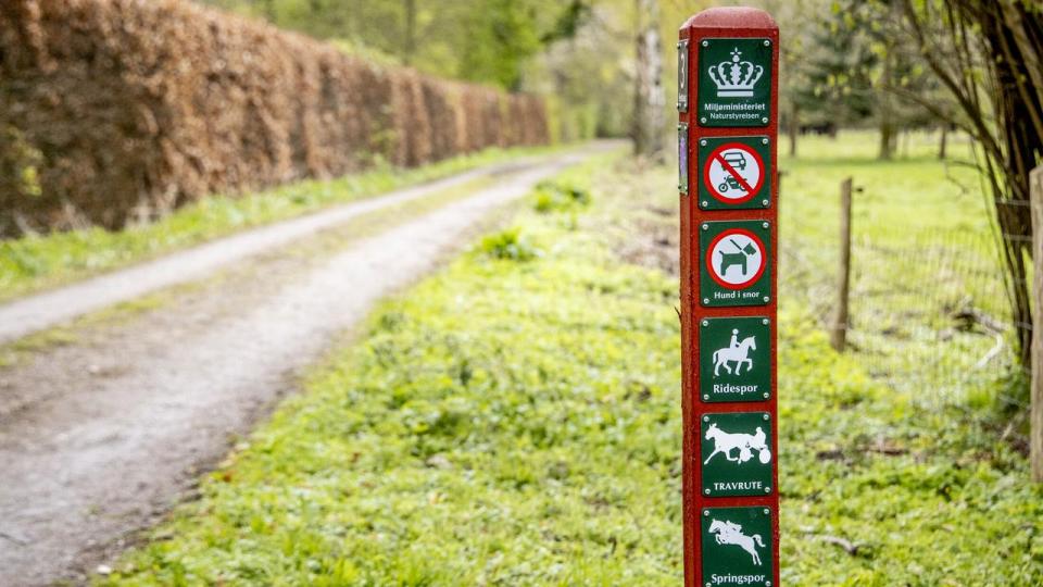 Danmark står over for en kompleks arealkabale, hvor natur, klima, energi og anlægsprojekter skal balanceres. Erstatningsnatur fremhæves som et muligt redskab til at forene hensynene.
