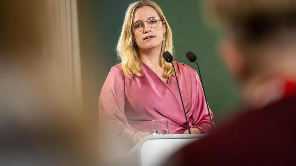 Venstres Stephanie Lose har præsenteret et forslag, der vækker undren og bekymring hos finanssektoren.