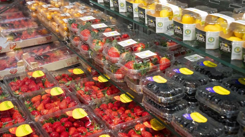 Når regeringen vil øge den danske produktion af frugt og grønt, skal sprøjteforbuddet tænkes ind i en samlet plan for dansk frugt og grønt, skriver indlæggets afsendere. 