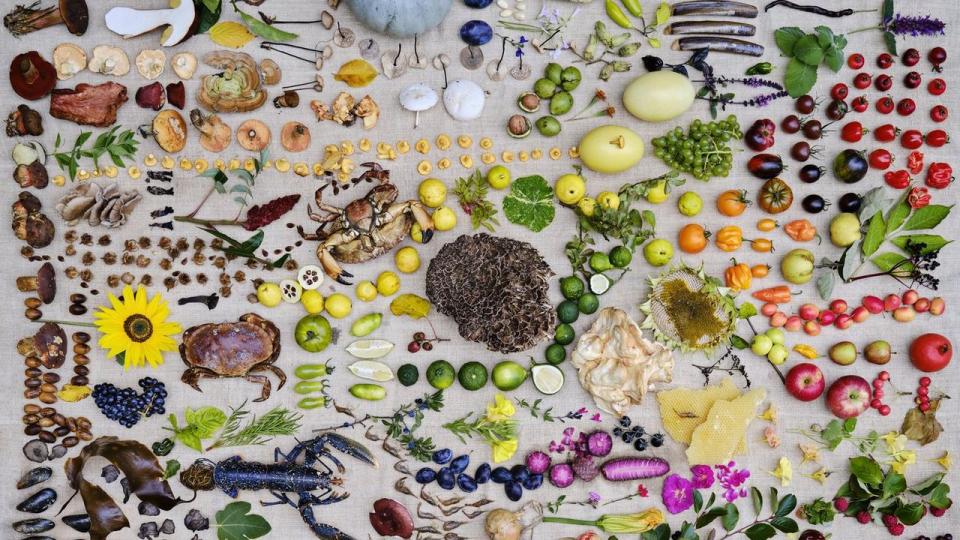 Disse råvarer dominerede septembers menu på Noma, som nu stiller ekstra skarpt på årstidernes skiften ved at fokusere på såkaldte mikrosæsoner.