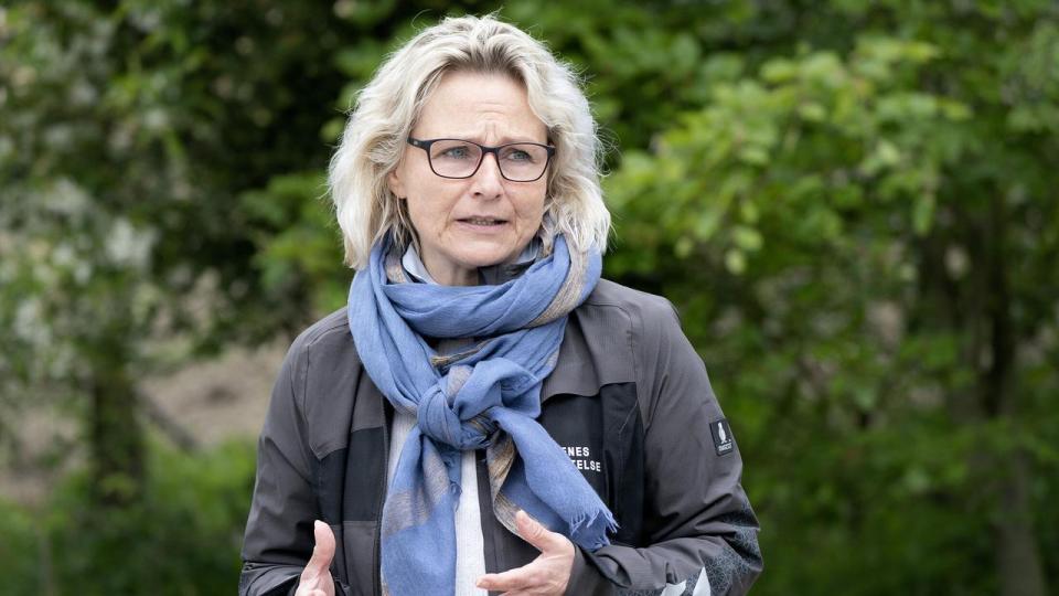 Danmark kan blive et globalt udstillingsvindue for en fremtid uden pesticider, skriver Britta Riis på vegne af en kreds grønne af organisationer og virksomheder.