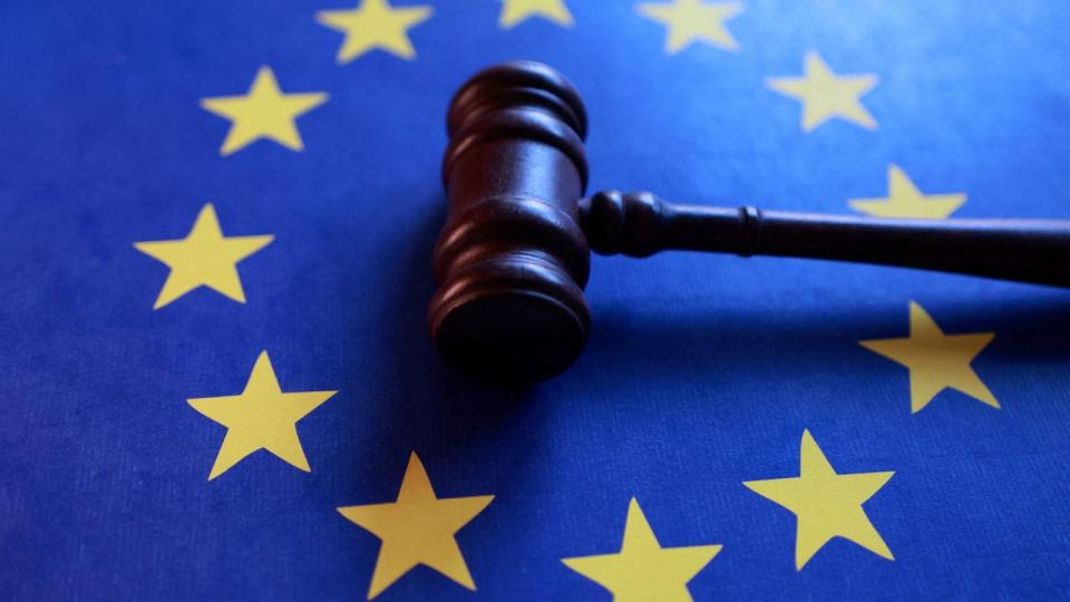 EU danner ramme for samarbejde og koordinering mellem medlemslandene på politiske, økonomiske og sociale områder.