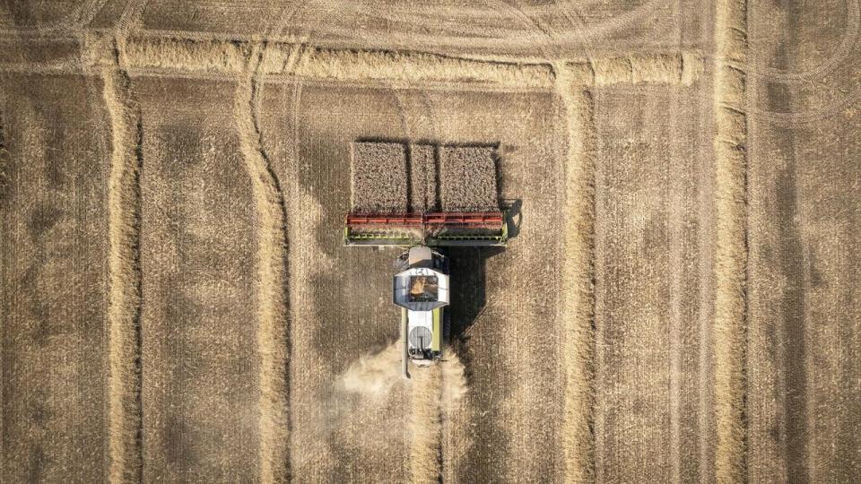 Investeringer fra virksomheder alene er ikke nok. Hvis vi skal lykkes med at transformere landbruget bredt, kræver det politisk medspil, pointerer indlæggets afsendere.