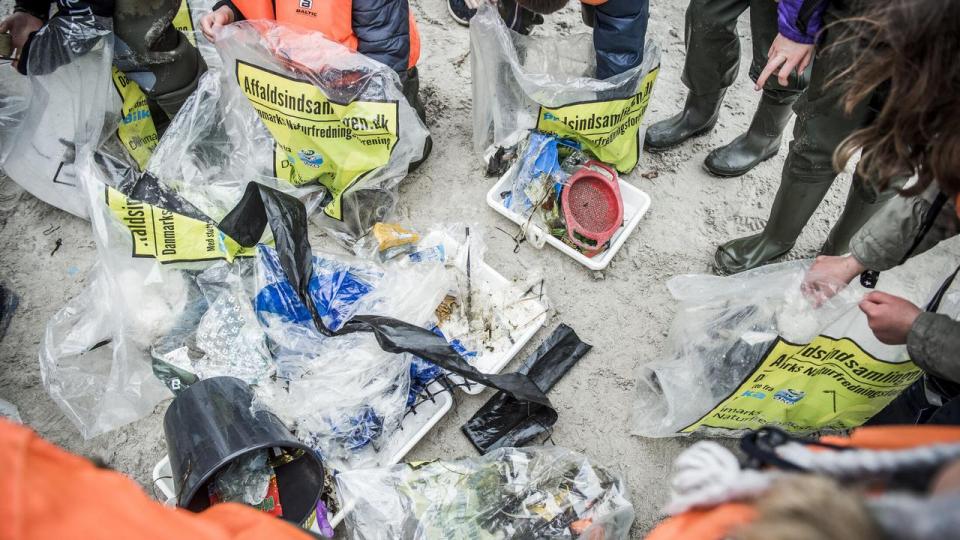 Danmarks Naturfredningsforenings landsdækkende affaldsindsamling begynder i dag. I løbet af ugen vil over 200.000 voksne og børn have samlet affald, der er smidt i naturen.