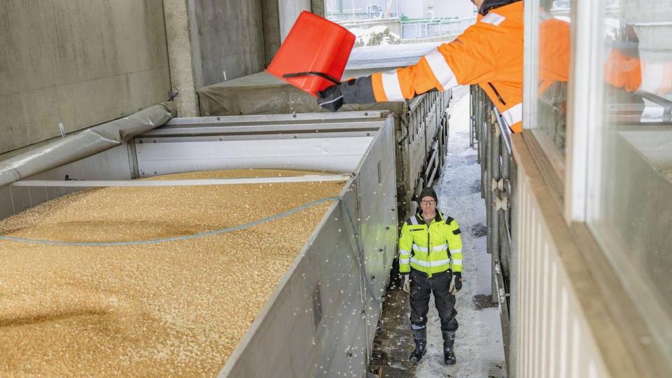 En lastbil er ankommet til siloen, hvor Finland har en del af sit nationale kornlager. Ved ankomsten bliver der taget prøver af lasten.