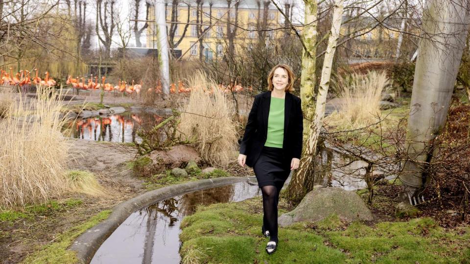 Pernille Mehl har været topleder i København Zoo siden efteråret 2023 og har i sine første år haft travlt med en strategiproces, der har involveret havens godt 300 medarbejdere.