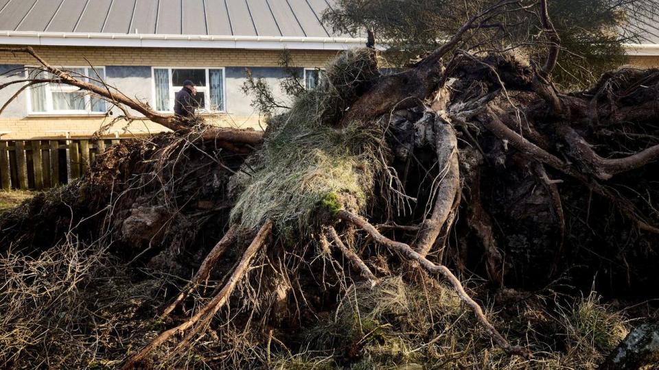 Stormen Dave har særligt vakt problemer i Nordjylland med vindstød af orkanstyrke.