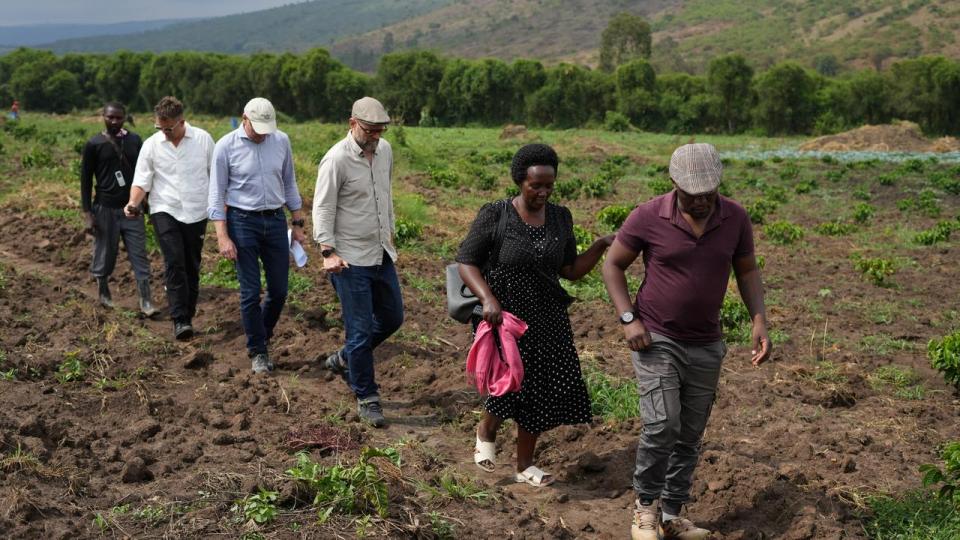 I Uganda omstiller kaffebønder omstiller sig langt hurtigere end de danske landmænd – ikke af idealisme, men af ren nødvendighed, skriver Lars Aaen Thøgersen.