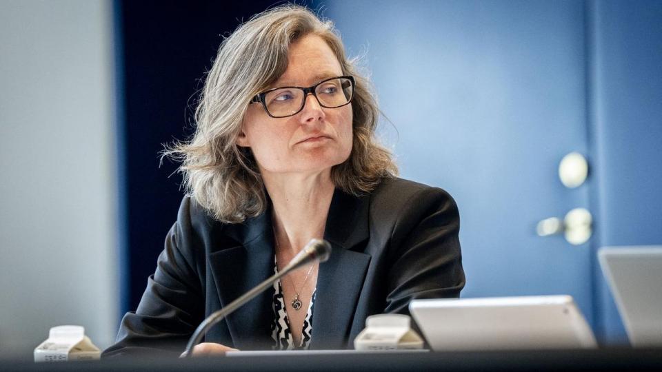 Ifølge Jette Bredahl Jacobsen, der er professor og økonomisk vismand, risikerer regeringen at bruge pengene forkert, hvis man ikke regner på samfundsøkonomien i store projekter.