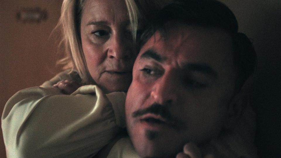 Trine Dyrholm spiller den pensionerede spion Ditte Jensen, der flytter ind i en boligblok i Reykjavik, hvor hun har svært ved at slippe sit gamle job. 