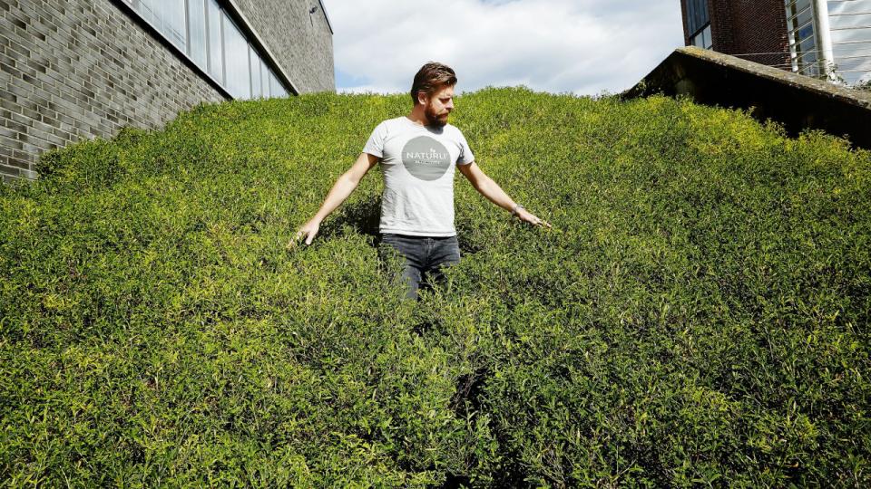 Henrik Lund er klar til at forsvare den førende markedsandel på plantebaserede fødevarer, Naturli’, har opnået. Arkivfoto: Hans Christian Jacobsen