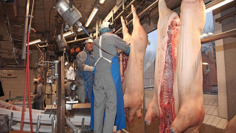 Medarbejderne på Tican med hovedsæde i Thisted skal igen have ny topchef. Arkivfoto: Finn Byrum, Ritzau Scanpix