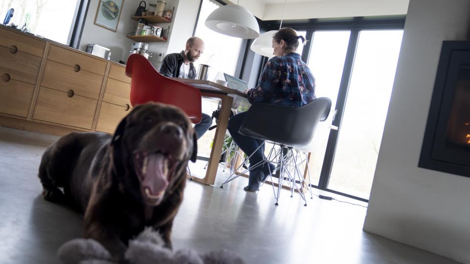 Hjemmearbejde er blevet en del af mange danskeres hverdag under coronakrisen. Og erfaringerne kan være værd at tage med ind i fremtiden. Arkivfoto: Liselotte Sabroe/Ritzau Scanpix