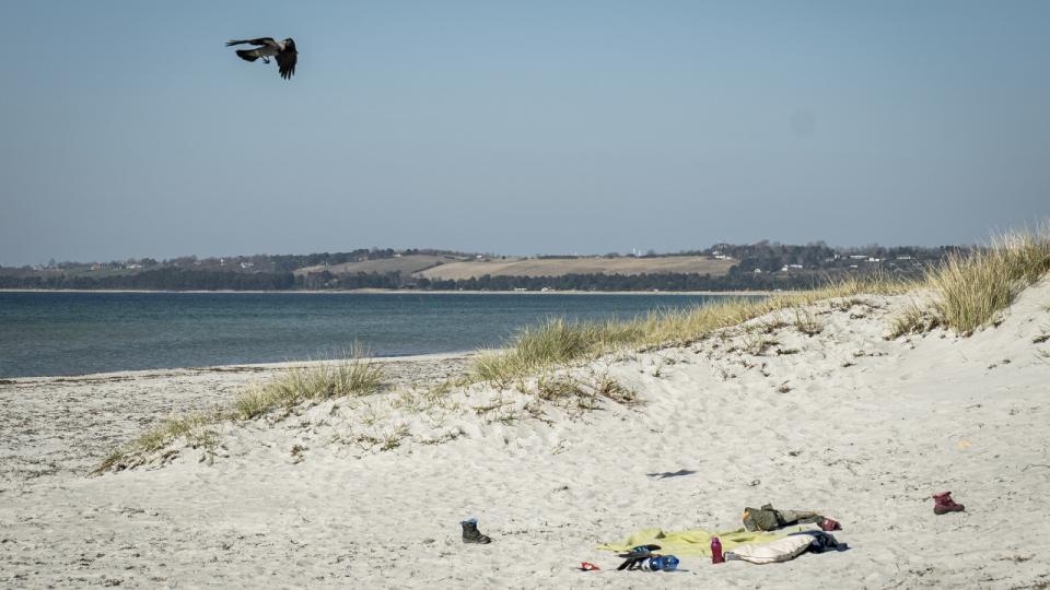 Arkivfoto: Niels Christian Vilmann/Ritzau Scanpix