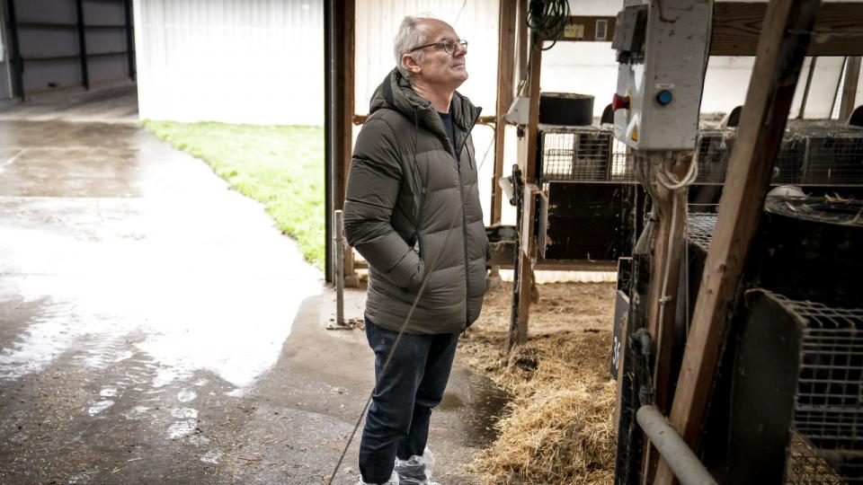 Tage Pedersen, formand for Danske Minkavlere, ærgrer sig, mens priserne på skind stiger, over, at han og kollegerne ikke kommer til at lave flere mink. Her er han fotograferet under et besøg på en tom farm i vestjyske Ørnhøj. Arkivfoto: Mads Claus Rasmussen/Ritzau Scanpix