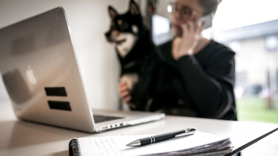 2022 viste os, at hjemmearbejde ikke behøver at blive pakket af vejen sammen med coronarestriktioner. Her bør virksomheder slå til for at tiltrække talent. Arkivfoto: Mads Claus Rasmussen/Ritzau Scanpix