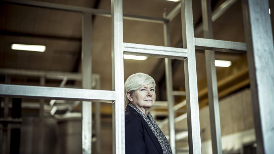 Vibeke Svendsens, adm. direktør i Envotherm, egne forventninger og ambitioner er en af årsagerne til, at hun kan føle sig stresset. Arkivfoto: Michael Drost-Hansen
