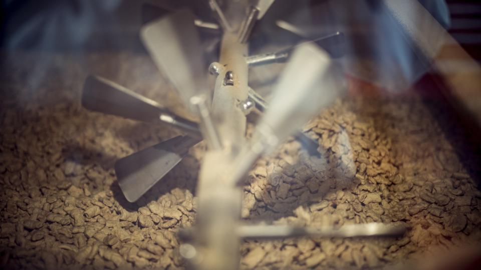 Planteprotein kommer fra forskellige kilder. Blandt andet hestebønner og ærter her hos producenten Organic Plant Protein. Foto: Michael Drost-Hansen