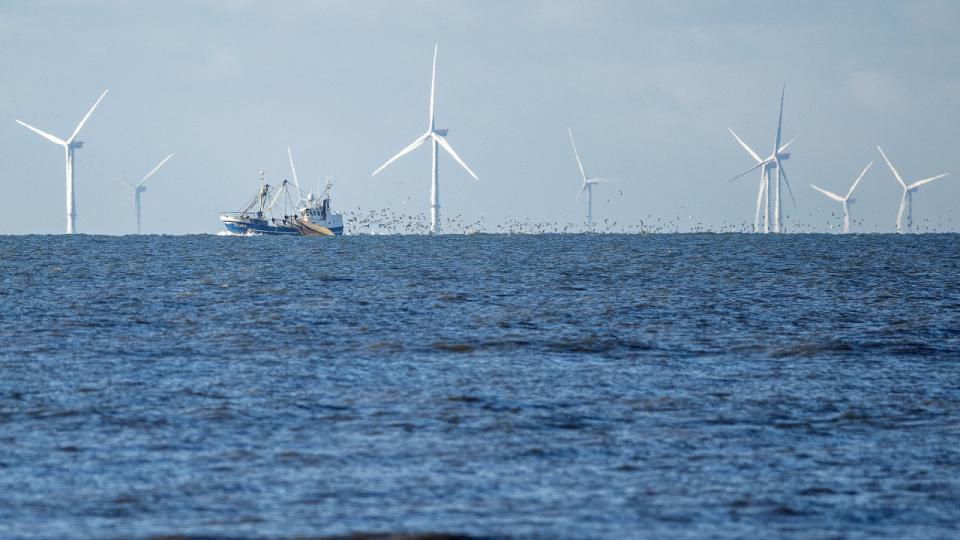 Der bliver behov for markant udbygning af havvind de kommende år. Her ses havvindmøller ud for Vejers Strand ved den jyske vestkyst. Arkivfoto: John Randeris/Ritzau Scanpix)