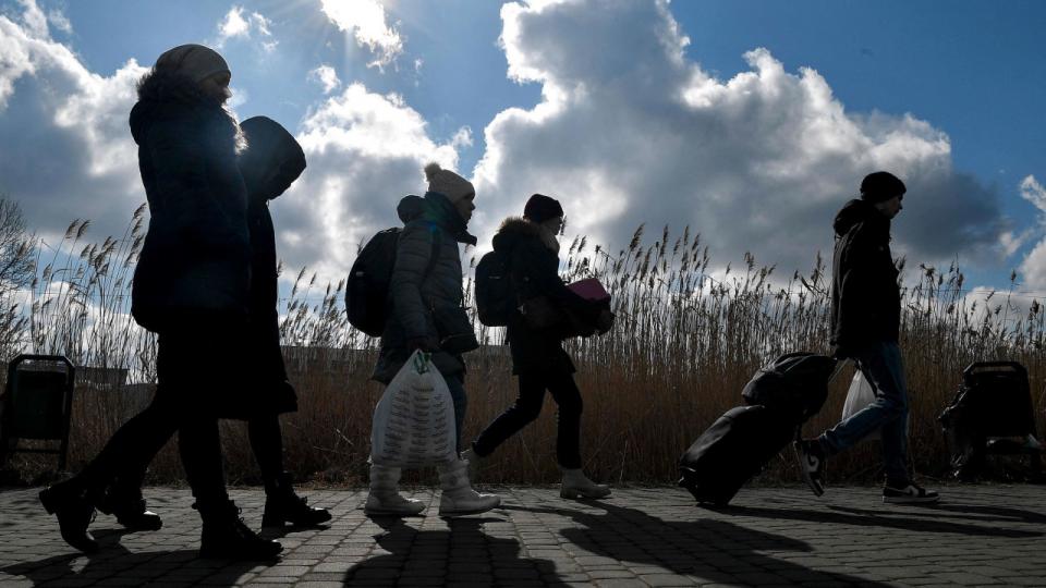 “Vi har oprettet en hotline, man kan skrive og ringe til, og så hjælper vi med transport ved grænsen,” udtaler Jakob Just-Bomholt, adm. direktør for 3Shape. Foto: Louisa Gouliamaki/Ritzau Scanpix