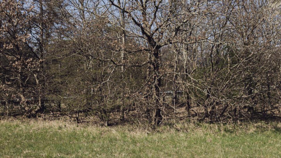 Græsarealer har tidligere fyldt hektar efter hektar hos danske virksomheder. Nu må græsset i stigende grad vige for større diversitet i beplantningen. Her er det plænerne hos Coloplast i Hørsholm, der må vige. Fotos: Anne-Dorthe Søgaard Jensen