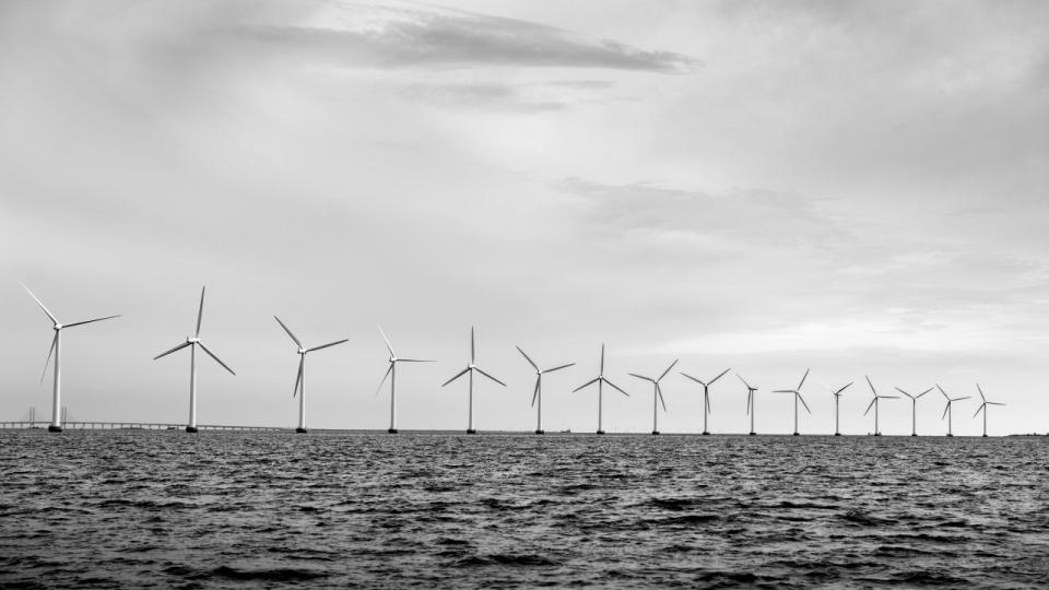 Ingen danske virksomheder har fået tildelt midler fra EU's Innovationsfrond - Sverige har syv med en samlet støtte på over 500 mio. euro. 
Arkivfoto: Simon Fals