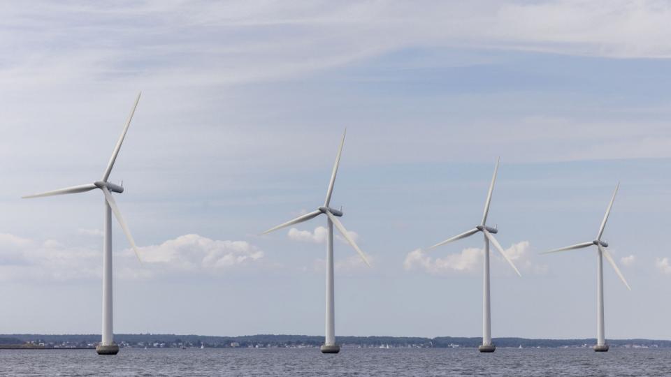 Lukningen af åben-dør-ordningen er kritisk for den grønne omstilling, lyder det fra Klimarådet. Foto: Simon Fals
