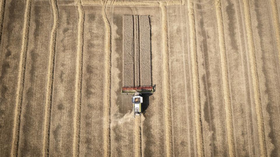 Det er tekniske muligt at beskatte landbrugets klimabelastning allerede i dag, vurderer Det Miljøøkonomiske Råd i en ny rapport. Arkivfoto: Mads Claus Rasmussen/Ritzau Scanpix