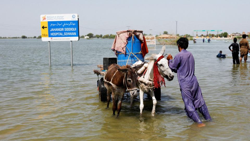 Massiv monsunregn har i ugevis betydet, at en tredjedel af Pakistan har været oversvømmet. Foto: Akhtar Soomro/Reuters/Ritzau Scanpix