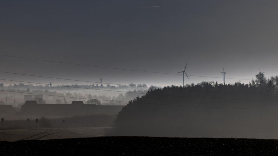 To elselskaber er blevet irettesat af Forbrugerombudsmanden for at have plantet for få træer til at kompensere for kundernes elforbrug. Arkivfoto: Simon Fals