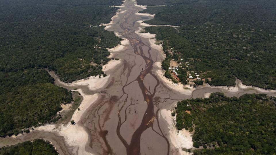 2023 har været et billede på, hvordan mere voldsomt vejr rammer verden over og påvirker både vandmængde i floder som floden i Amazonas, afgrøder pga. tørke og menneskers levevilkår. Mange virksomheder er dybt afhængige af ressourcer fra naturen. Arkivfoto: Bruno Kelly/Reuters/Ritzau Scanpix