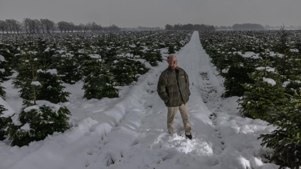 “Juletræer opsuger enorme mængder CO2. Her på ejendomme har juletræerne opsuget, hvad der svarer til 24.000 bilers udstødning på et år,” fortæller godsejer og juletræsproducent Bernt Johan Collet. Foto: Simon Fals