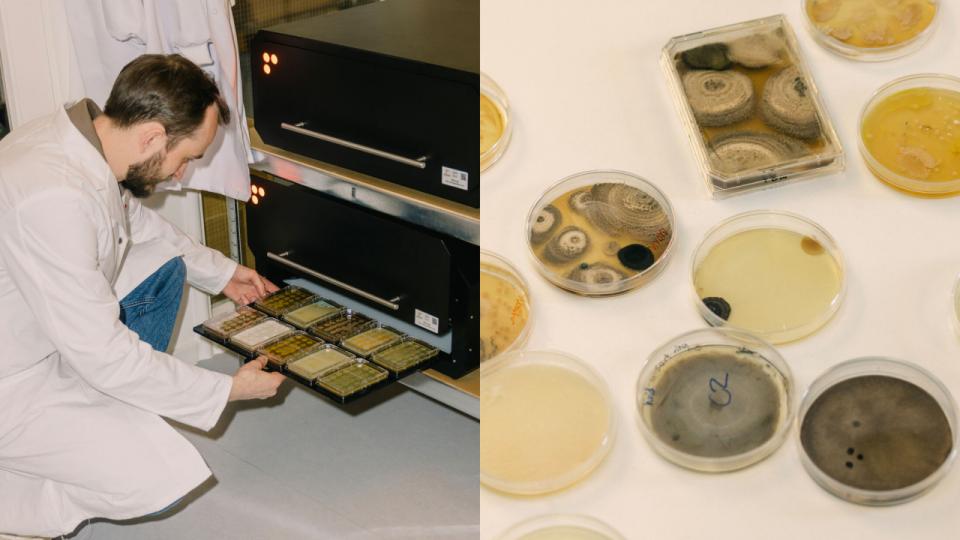 Reshape, der har Carl-Emil Grøn som medstifter, bygger laboratorieudstyr, der kan automatisere forskning og dermed accelerere forsøg og resultater. Foto: Rebecca Helene Hoffmann