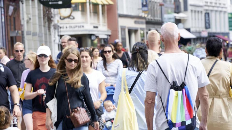 Selvom fødselstallet falder, så bliver vi flere indbyggere i Danmark. Det skyldes især, at flere udlændinge kommer til Danmark for at arbejde. 