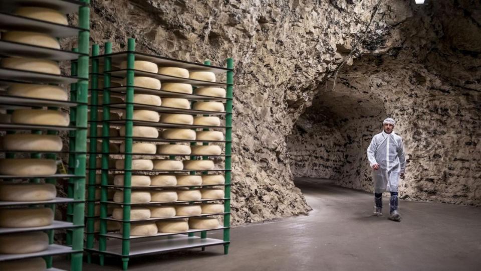 Thise Mejeri lagrer nogle af sine oste i en vestjysk tidligere kalkgrube.