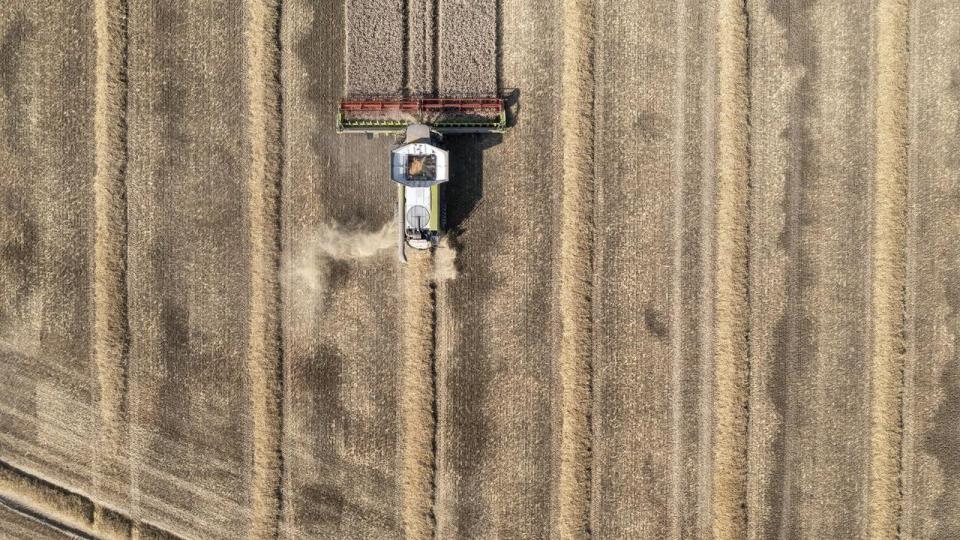 10 pct. af Danmarks areal skal omlægges til natur og skov frem mod 2045.