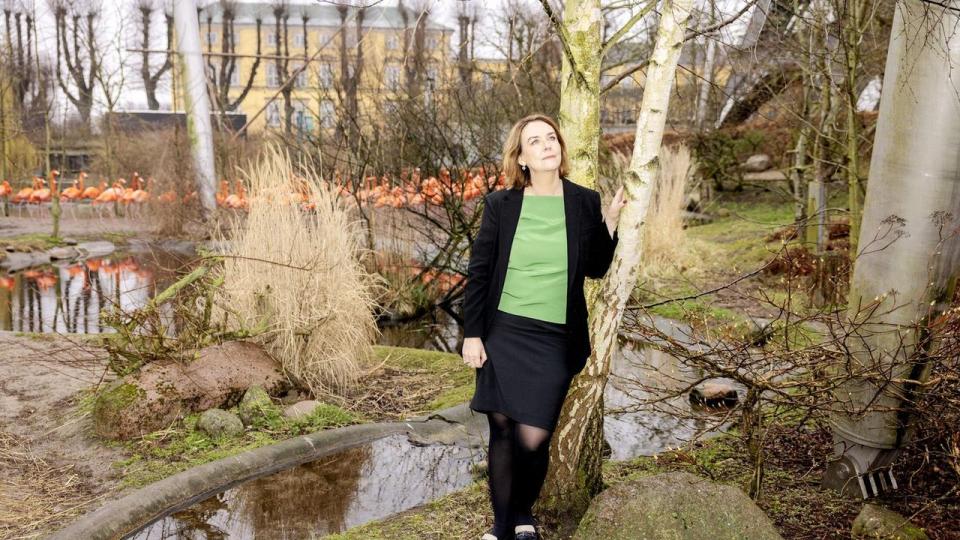 Pernille Mehl har tilbragt masser af tid ude i anlægget i København Zoo lige fra første arbejdsdag. Hun har fået ros for, at hun har været langt mere ude i haven og blandt dyr og personale, end der har været tradition for. 