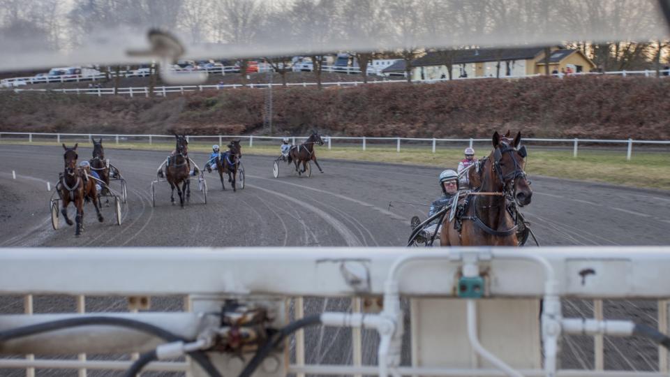 Ebeltoft-virksomheden Mosson samler data på heste, så de kan præstere bedre. Foto: PR/BusinessFilm