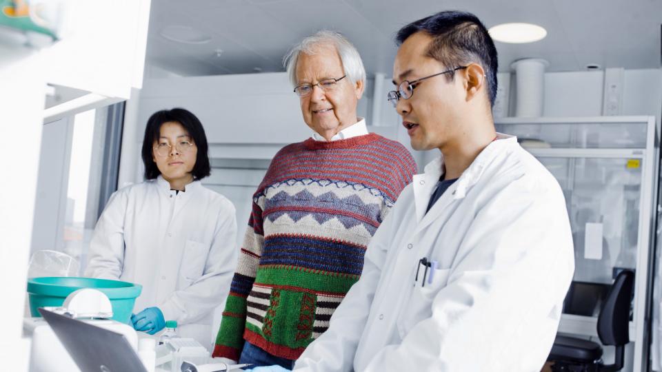 I laboratorierne på Københavns Universitet har professor Oluf Borbye Pedersen (i midten) sammen med Yong Fan (th.) gjort en opdagelse, der har skabt fundamentet for virksomheden Gutcrine. Foto: Claus Boesen.