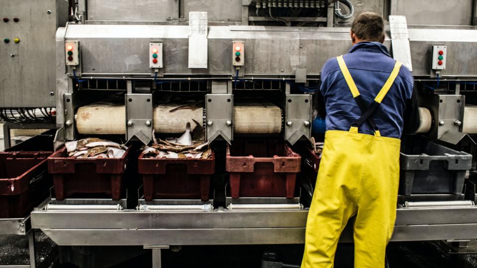 En undersøgelse, gennemført af Handelsblatt Research Institute for teknologivirksomheden TeamViewer, viste, at kun 46 pct. af danske virksomheder anser sig selv for digitaliserede. Det er et europæisk bundniveau. Foto Paul Einerhand