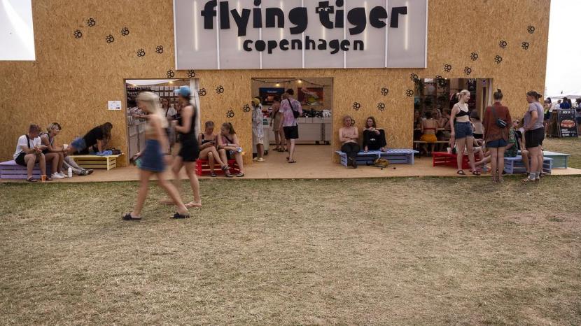 Føderale tegnebog fuzzy Først sagde Roskilde Festival nej, men så fik Flying Tiger endnu en chance